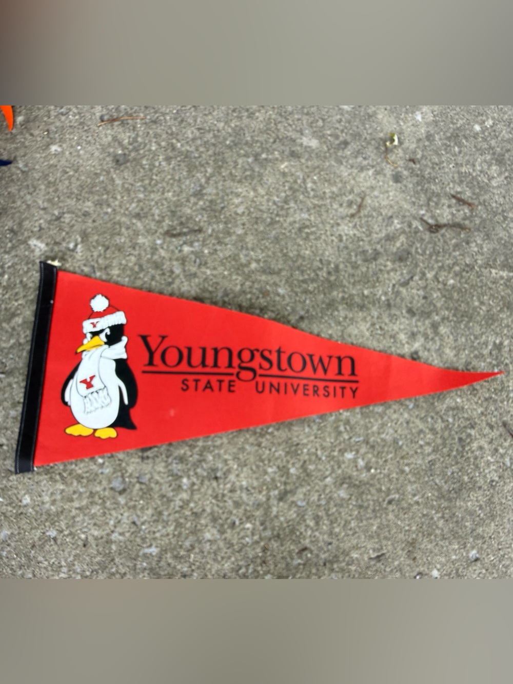 Youngstown state university Penguin Pennant